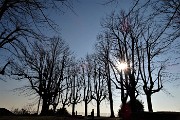 47 Piante controsole al Parco del Castello di San Vigilio